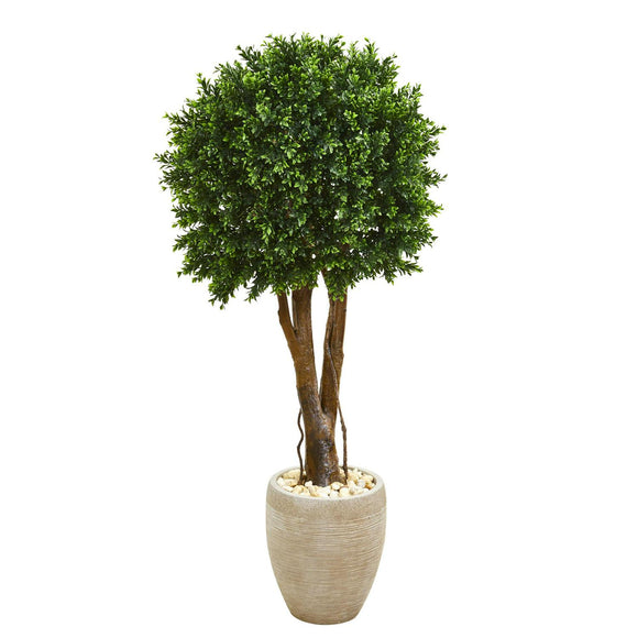 52” Boxwood Topiary Tree In Planter UV Rest (Indoor/Outdoor)