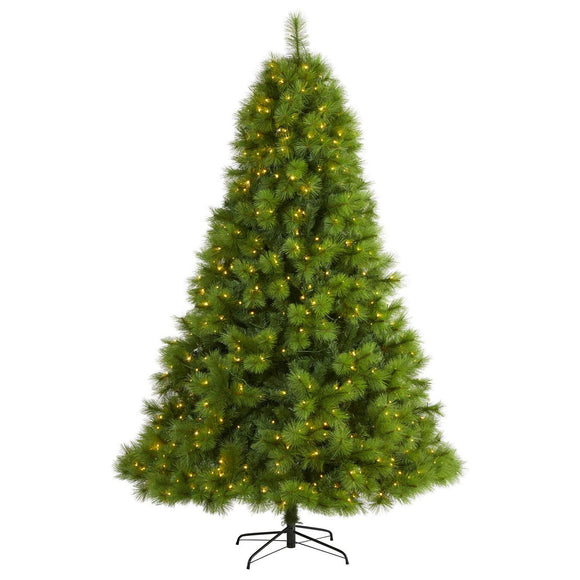 8' Green Scotch Pine Christmas Tree W/600 Clear LED Lights