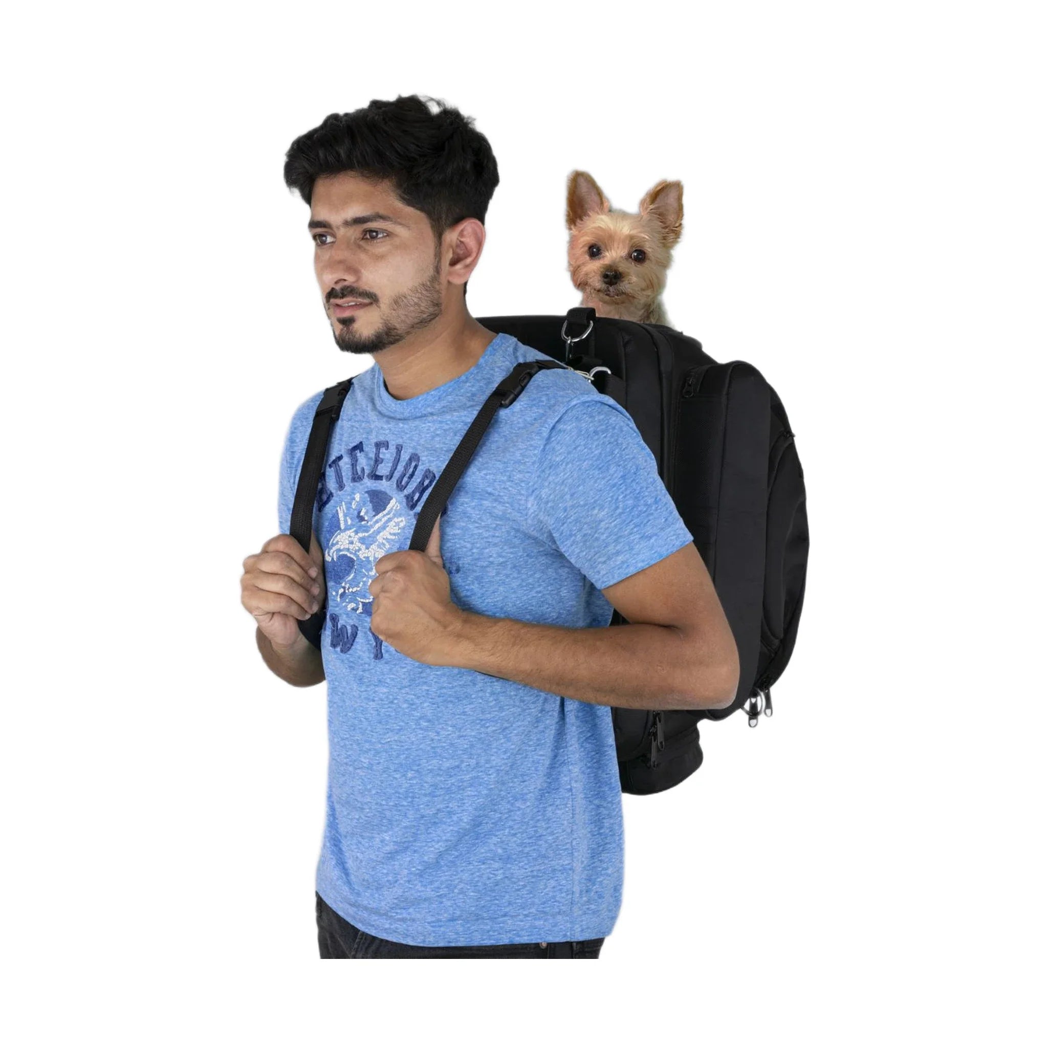 Mororcycle Sissybar Pet Textile Bag fits on Luggage Rack extra straps with D-Rings Waterproof