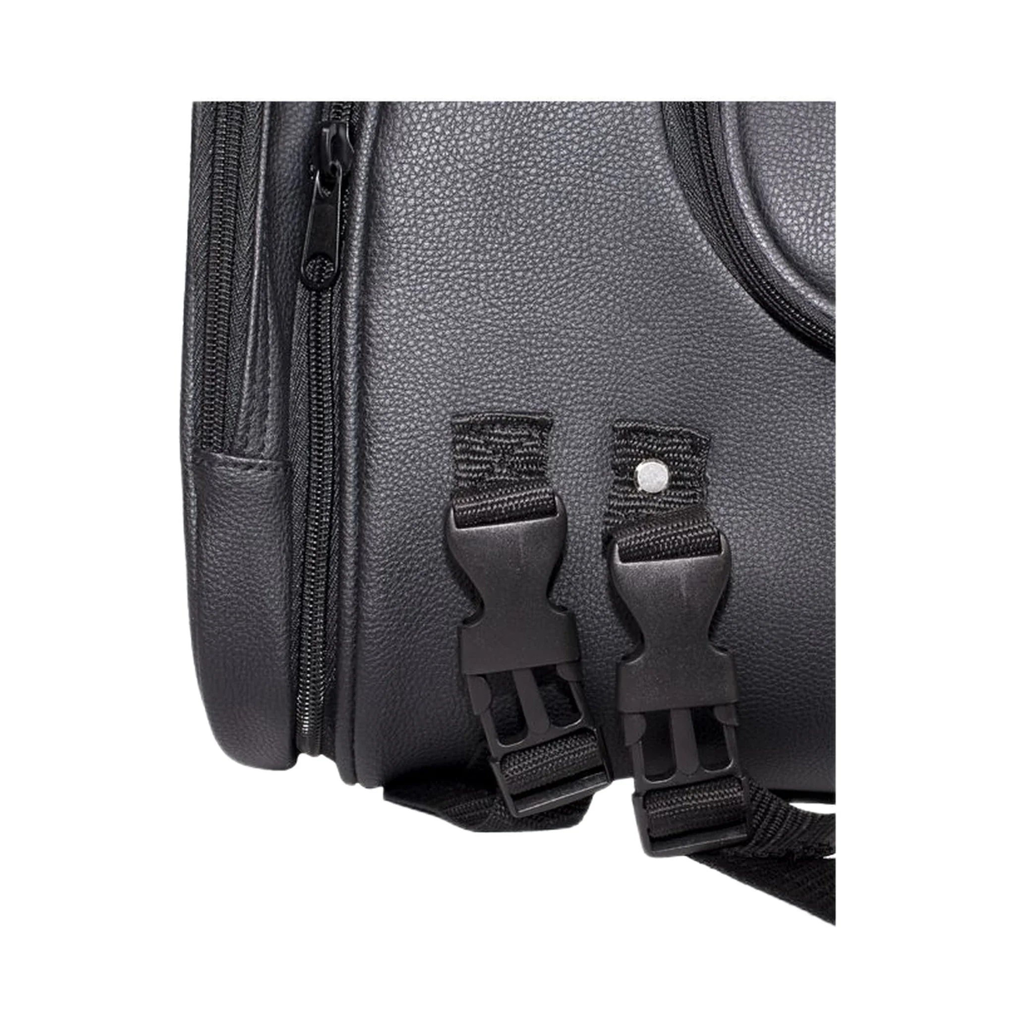 Motorcycle Sissy Bar Bag / Trunk With Skull