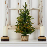 2' Christmas Tree Pre-Lighted With 35 Clear LED Lights In Decorative Basket