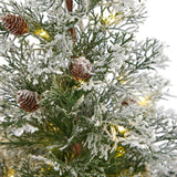 2' Pre-Lit Christmas Tree  With Pinecones In Decorative Planter