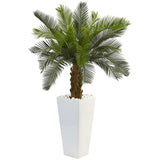 3’ Cycas Tree In White Tower Planter