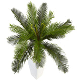 3’ Cycas Tree In White Tower Planter