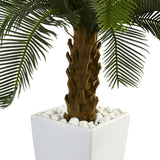 3’ Cycas Tree In White Tower Planter