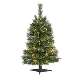 3' Wisconsin Slim Snow Tip Pine Christmas Tree Pre-Lighted With 50 LEDs