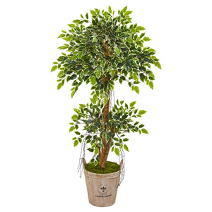 4.5’ Variegated Ficus Artificial Tree In Farmhouse Planter