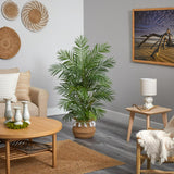 4' Areca Palm W/736 Lvs In Natural Cotton Planter W/Tassels