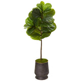 52” Fiddle Leaf Tree In Ribbed Metal Planter (Real Touch)