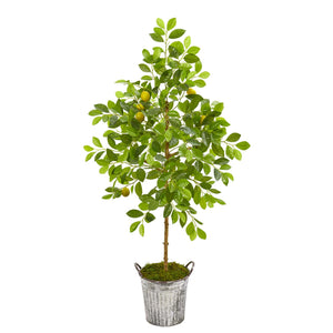 55” Lemon Artificial Tree In Vintage Metal Pail