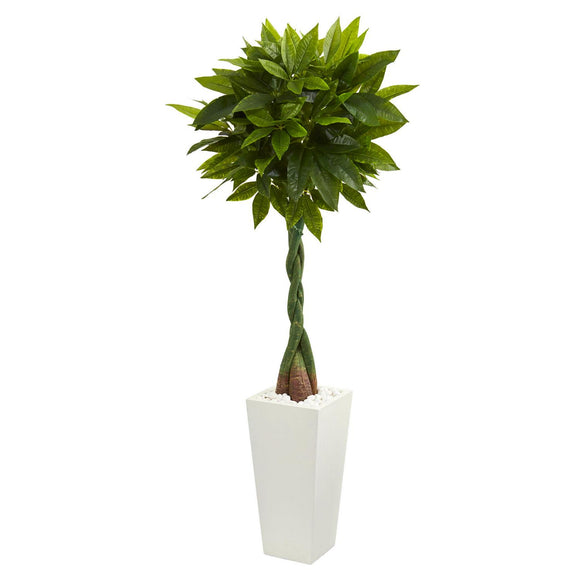 5.5’ Money Artificial Tree In Tower Planter (Real Touch)