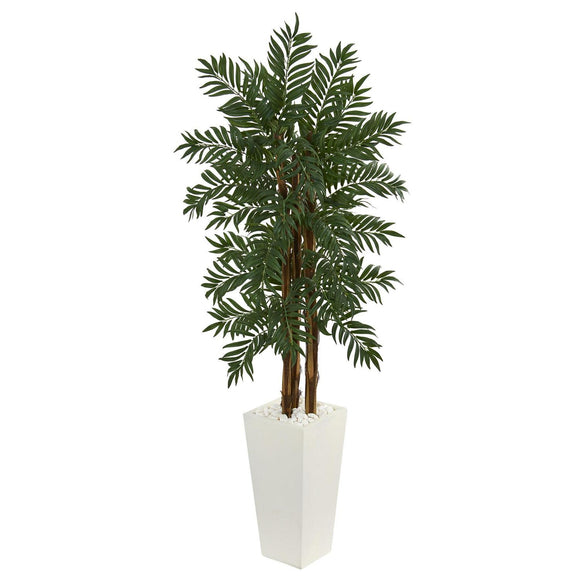 5.5’ Parlor Palm Tree In White Tower Planter