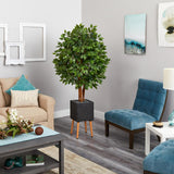 5.5’ Super Deluxe Ficus Tree In Black Planter With Stand