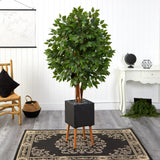 5.5’ Super Deluxe Ficus Tree In Black Planter With Stand