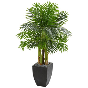 5’ Kentia Palm Artificial Tree In Black Planter