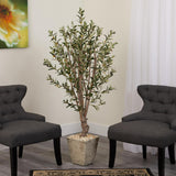 5’ Olive Artificial Tree In Country White Planter