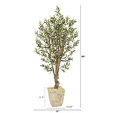 5’ Olive Artificial Tree In Country White Planter