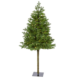 5' Swiss Alpine Christmas Tree W/150 LEDs And 270 Tips