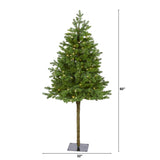 5' Swiss Alpine Christmas Tree W/150 LEDs And 270 Tips