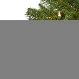 5' Vancouver Spruce Xmas Tree W/200 Lights And 461 Tips