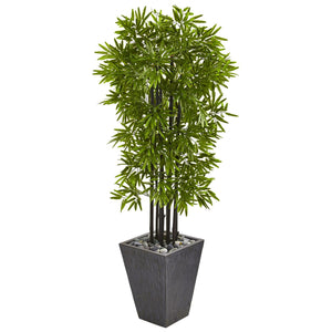 61” Bamboo Tree In Slate Planter UV Resist (Indoor/Outdoor)