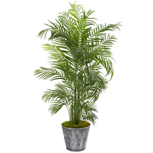 63” Areca Palm Tree In Planter UV Resistant (Indoor/Outdoor)