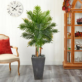 63” Areca Palm Tree In Cement Planter (Real Touch)