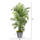 63” Areca Palm Tree In Planter UV Resistant (Indoor/Outdoor)