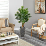 63” Areca Palm Tree In Cement Planter (Real Touch)