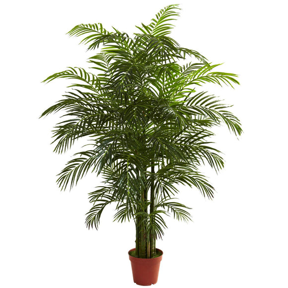 6.5' Areca Palm UV Resist X 8 W/1408 Lvs (Indoor/Outdoor)