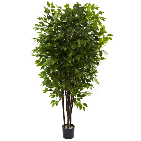 6.5’ Deluxe Ficus Tree W/2520 Lvs