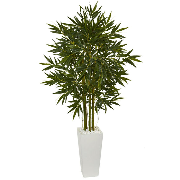 6' Bamboo Tree In White Tower Planter