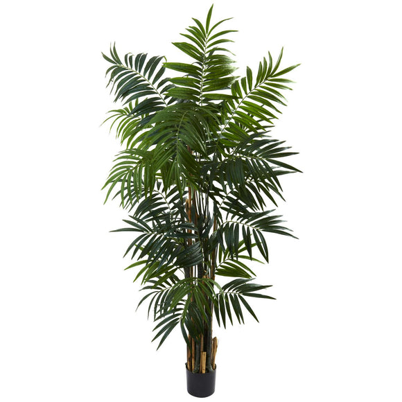 6’ Bulb Areca Palm Tree W/534 Lvs