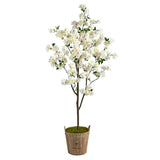 6’ Cherry Blossom Tree In Farmhouse Planter