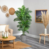 6’ Curvy Parlor Palm Tree In Black And White Jute Planter