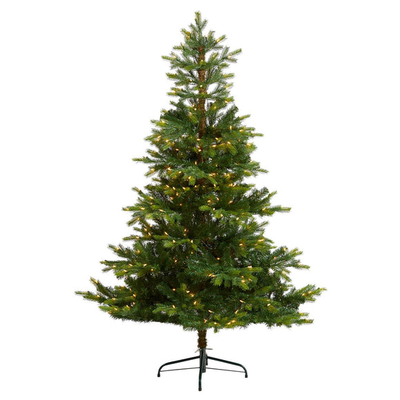 6' North Carolina Spruce Christmas Tree W/631 LEDs