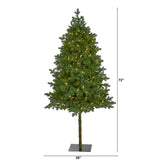 6' Swiss Alpine Christmas Tree Pre-Lighted With 250 LEDs And 450 Tips