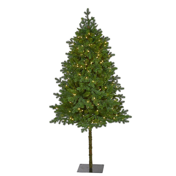 6' Swiss Alpine Christmas Tree Pre-Lighted With 250 LEDs And 450 Tips