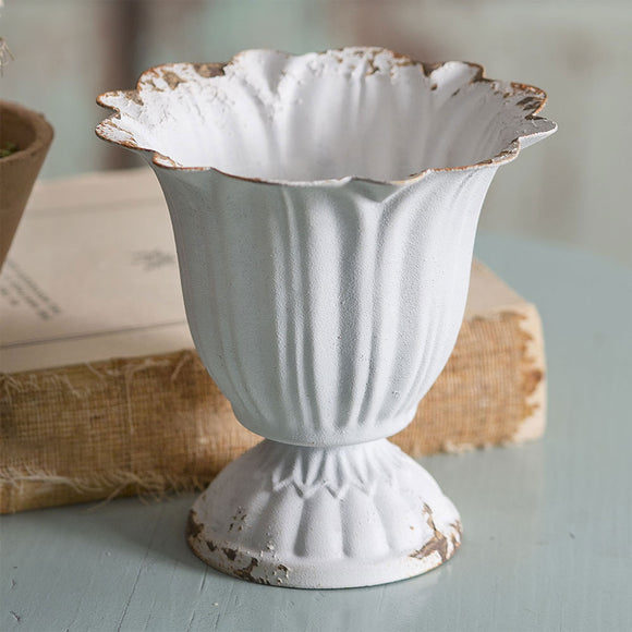 Small Scalloped Cup - Box of 4