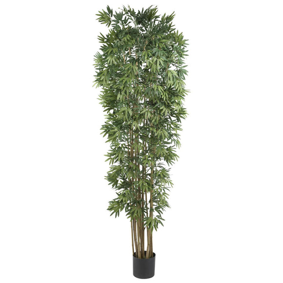 7' Bamboo Japanica Tree X 12 W/4100 Lvs Natural