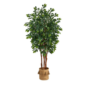 7’ Sakaki Tree W/1862 Lvs In Natural Jute Planter W/Tassels