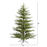 7 Vancouver Mountain Pine Xmas Tree With 1762 Tips