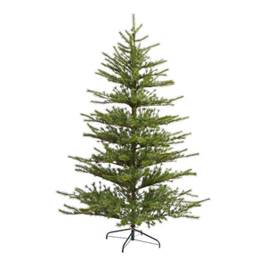 7 Vancouver Mountain Pine Xmas Tree With 1762 Tips