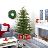 7 Vancouver Mountain Pine Xmas Tree With 1762 Tips