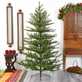 7 Vancouver Mountain Pine Xmas Tree With 1762 Tips