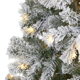 8' Flocked Fir Christmas Tree W/500 LED Lights And 1000 Tips