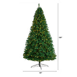 9' Northern Tip Artificial Christmas Tree With 650 Clear