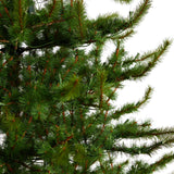 9' Vancouver Mountain Pine Artificial Christmas Tree